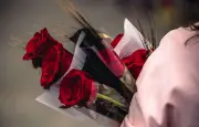 Saint-Valentin : l'impact environnemental caché des roses importées