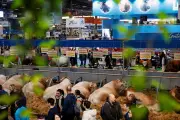 Salon de l'agriculture 2026 : les syndicats agricoles en ordre dispersé face à Macron