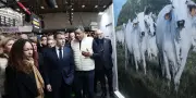 Salon de l'Agriculture 2026 : Macron inaugure une édition sans vaches et sous tension syndicale