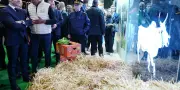 Salon de l'Agriculture 2026 : une fréquentation en baisse de 25% sans les bovins