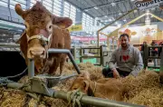 Salon de l'Agriculture : La Nouvelle-Aquitaine dévoile ses innovations et ses jeunes talents