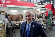 Salon de l'Agriculture : l'absence des bovins laisse un vide et inquiète les éleveurs
