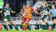 Section Paloise face à Perpignan : Un match crucial pour consolider la place de dauphin