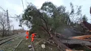 Tempête Nils : chaos en Occitanie avec vents à 180 km/h, 900 000 foyers sans électricité