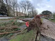 Tempête Nils dans les Landes : les dégâts observés ce jeudi 12 février