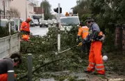 Tempête Nils dans les Landes : routes bloquées par des arbres et lignes électriques