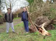 Tempête Nils : Les dégâts persistants sur le réseau électrique et les arbres à Saint-Lon