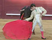 Un toro gracié après 152 ans d'attente dans le Sud-Ouest : l'histoire de Gironcillo