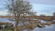 Vacances en Camargue : Découvertes en plein air et patrimoine pour toute la famille