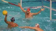 Water-polo européen : Montpellier accueille la Challenge Cup avec des adversaires prestigieux