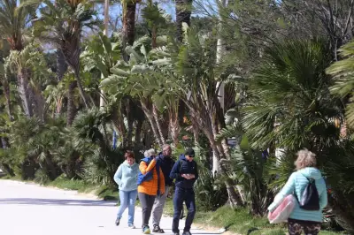 Alpes-Maritimes : vent violent et soleil ce mardi 31 mars 2026