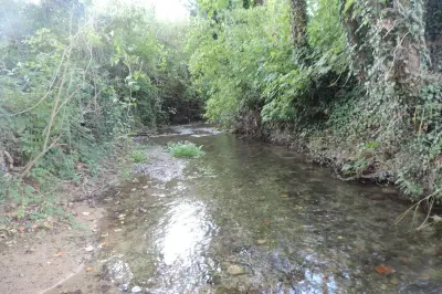 Atlas de la biodiversité : un second volet dévoile les secrets des zones humides