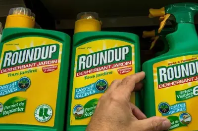 Atmo France lance une carte interactive pour visualiser les pesticides dans l'air français