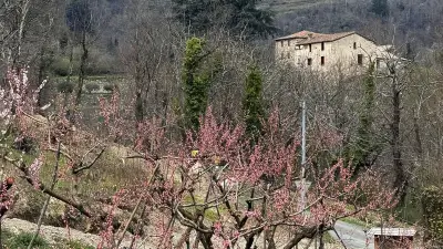 Brûlage dirigé réussi dans le Gard pour prévenir les incendies et favoriser le pastoralisme