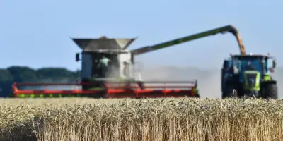 Cadmium : les autorités sanitaires accusées d'avoir ignoré des données favorables au bio