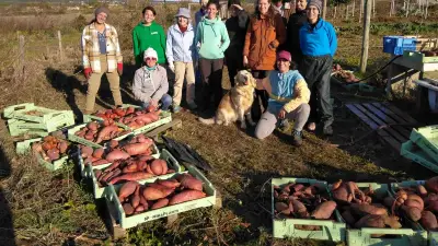 Chantier participatif à Saint-Dionisy : solidarité pour une maraîchère bio