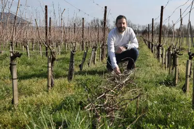 De la Marine nationale aux vignes bordelaises : Jérémy Brun entame sa deuxième vie