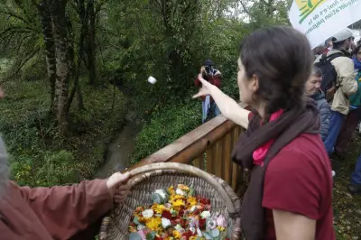 Dordogne : le juge rejette la suspension des travaux de la carrière Imerys à Razac