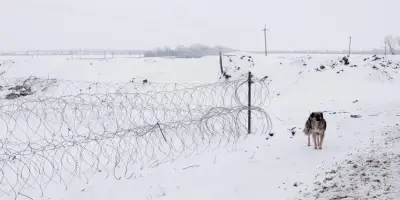 En Ukraine, les chiens de guerre deviennent des héros sur la ligne de front