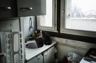 Fin de la trêve hivernale : les expulsions locatives reprennent en force ce mercredi