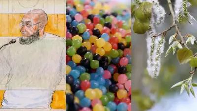 Gard : nouvelle condamnation pour le meurtrier de Sihem, Haribo investit, alerte aux pollens