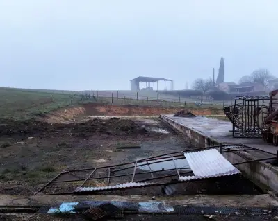 Incendies en élevage : plus de 480 animaux meurent chaque jour dans les fermes