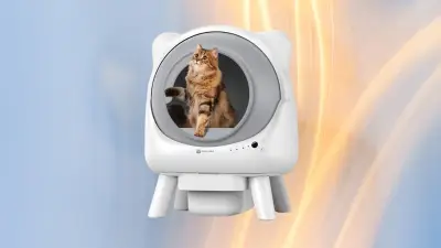 La litière autonettoyante à prix réduit révolutionne le quotidien des propriétaires de chats