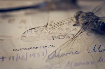 Milène Tournier : la marche comme acte de résilience et de création littéraire