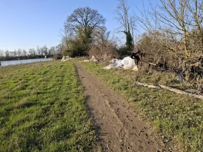 Mobilisation citoyenne pour nettoyer le lac du Graoux après la tempête Nils