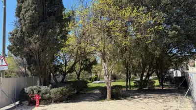 Nîmes : Le square Guiu promis à une renaissance verte après les travaux anti-inondations