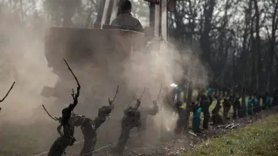 Pesticides dans l'air : une carte inédite révèle leur présence sur tout le territoire français