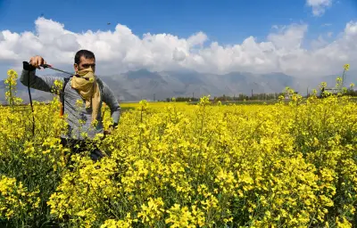 Pesticides dans l'air : une carte interactive révèle leur présence sur tout le territoire