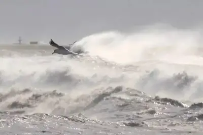 Vigilance jaune dans le Var : vents violents jusqu'à 110 km/h ce lundi 30 mars