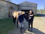 Alison Rousseau sauve les trotteurs réformés de l'abattoir avec son écurie des Beaux AR