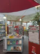 Atelier créatif sur la forêt à la médiathèque Jean-Cocteau de Saint-Seurin-sur-l’Isle