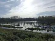 Balade sensorielle en Gironde : Terre & Océan dévoile la biodiversité de la Vallée de l'Eau Blanche