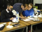 Bayonne : le Musée basque mise sur la prévention après une infestation d'insectes xylophages