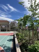 Bègles lance son concours photo nature pour célébrer la biodiversité urbaine