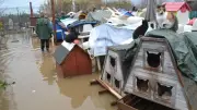 Béziers : le refuge des Chats libres inondé, un appel urgent à la solidarité