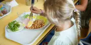 Cantines scolaires 2026 : les maires au cœur de la transition alimentaire