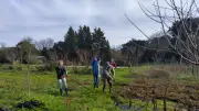 Chantier solidaire pour l'agriculture paysanne à La Bastide-d'Engras