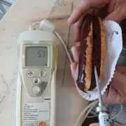 Charente-Maritime : une boulangerie fermée pour non-conformités sanitaires graves