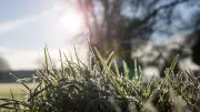 Chute des températures en Occitanie : 5 à 7°C de moins attendus avec des gelées en Lozère et Aveyron