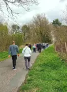 Conseil municipal : finances de l'UTL et stérilisation des chats errants au cœur des débats