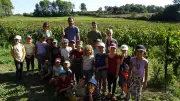 Des écoliers découvrent la vigne et les vendanges bio dans l'Hérault