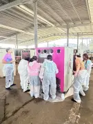 Des étudiants et jeunes décorent des colonnes à verre pour les Fêtes de la Madeleine 2026