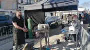 Foire de Printemps de Pont-Saint-Esprit : Un Succès Populaire Sous le Soleil