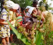 For-Alimenta : un programme transfrontalier pour dynamiser l'agroalimentaire pyrénéen