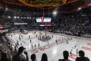 Hockey sur glace : l'équipement complet d'un joueur des Boxers de Bordeaux dévoilé