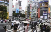 Incident à Shibuya : une fillette bousculée illustre le phénomène des 'butsukari' au Japon